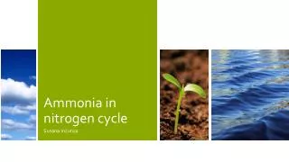 Ammonia in nitrogen cycle