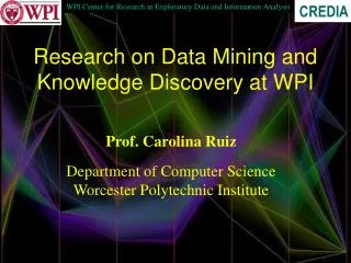 Research on Data Mining and Knowledge Discovery at WPI