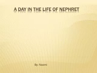 a day in the life of Nephret