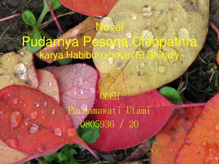 novel pudarnya pesona cleopathra karya habibu r rahman el shirazy