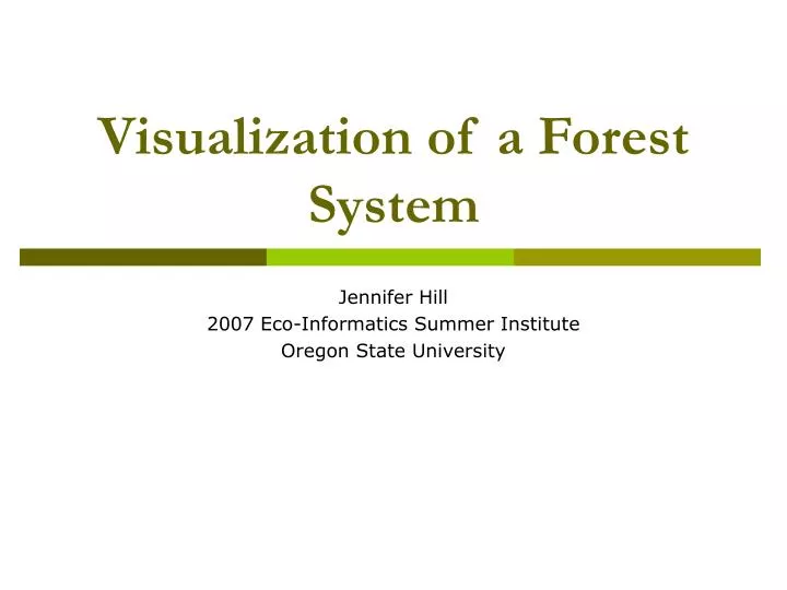 visualization of a forest system