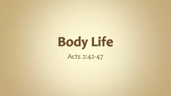body life