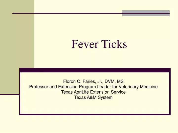 fever ticks