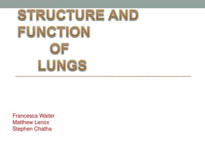 structure and function of lungs