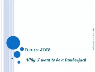 Dream JOB!