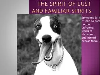 The Spirit of lust and familiar spirits