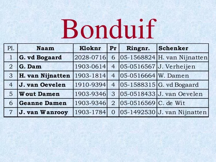 bonduif