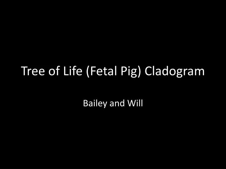 tree of life fetal pig cladogram