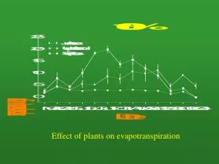 Effect of plants on evapotranspiration
