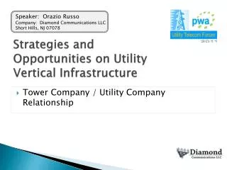 Strategies and Opportunities on Utility Vertical Infrastructure