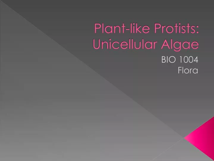 plant like protists unicellular algae
