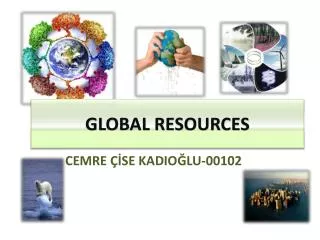 GLOBAL RESOURCES