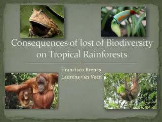 consequences of lost of biodiversity on tropical rainforests