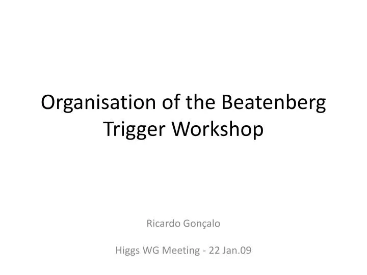 organisation of the beatenberg trigger workshop