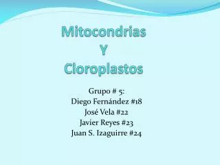 mitocondrias y cloroplastos