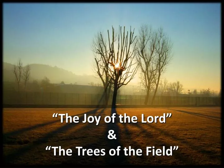 the joy of the lord the trees of the field
