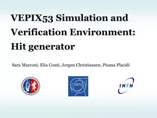 VEPIX53 Simulation and Verification Environment: Hit generator