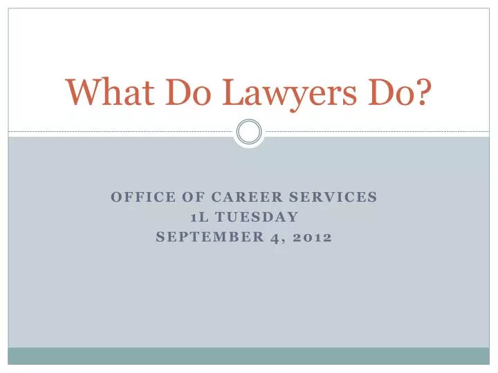 what do lawyers do