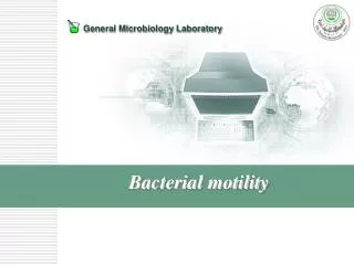 Bacterial motility