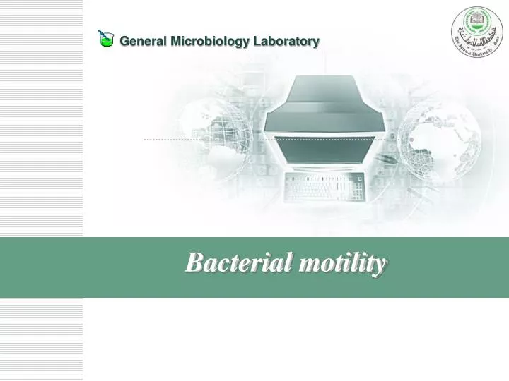 bacterial motility