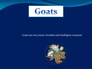 Goats are very smart, loveable and intelligent creatures