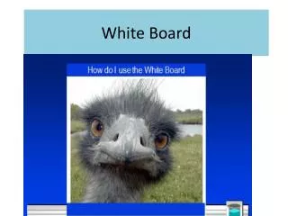 white board