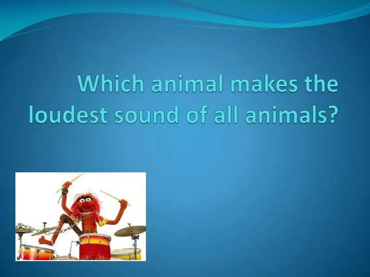 which animal makes the loudest sound of all animals