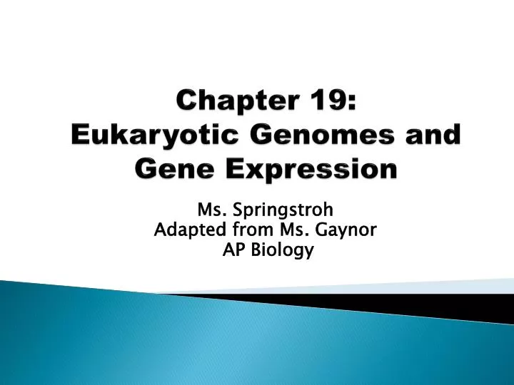 chapter 19 eukaryotic genomes and gene expression
