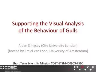 Supporting the Visual Analysis of the Behaviour of Gulls