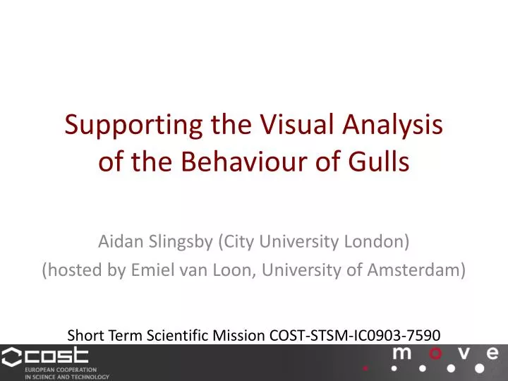 supporting the visual analysis of the behaviour of gulls