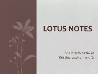 lotus notes