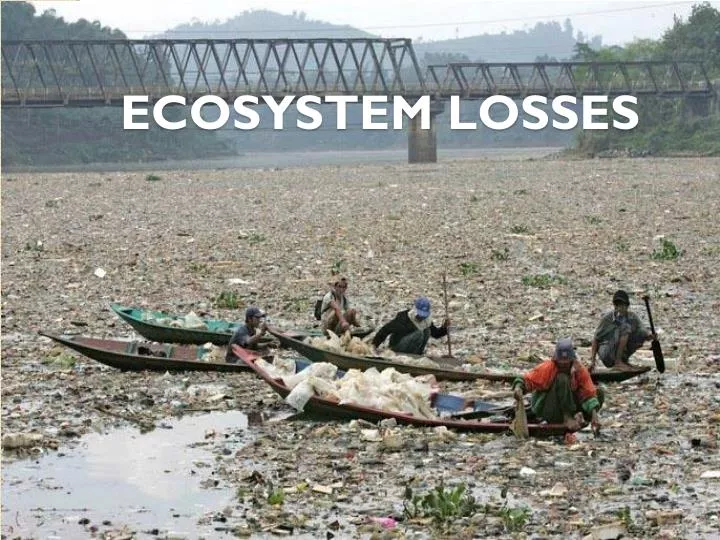 ecosystem losses
