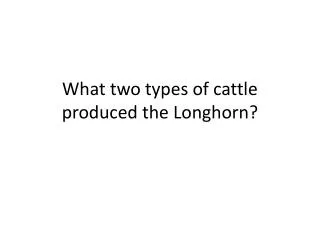 What two types of cattle produced the Longhorn?