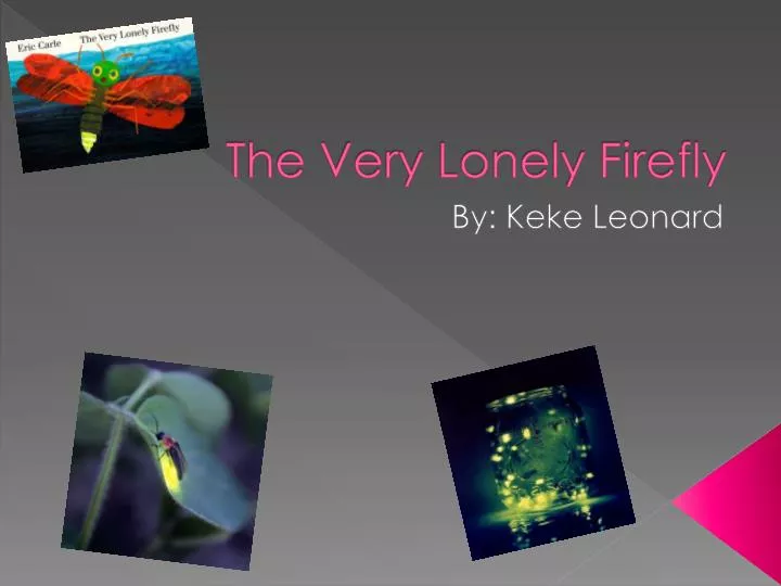 the very lonely firefly