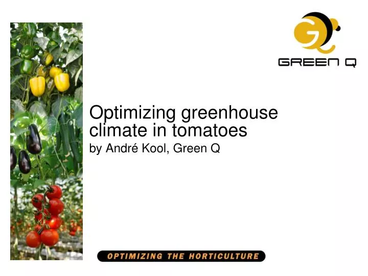 optimizing greenhouse climate in tomatoes by andr kool green q