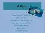 dolfijnen - slide 1