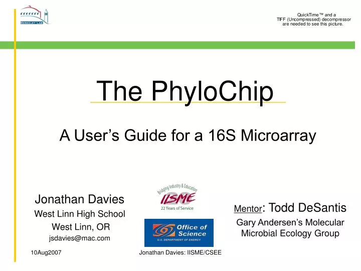 the phylochip