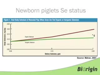 Newborn piglets Se status