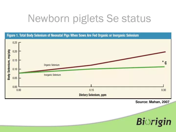 newborn piglets se status