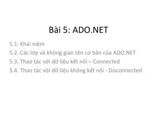 b i 5 ado net