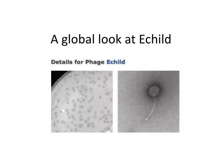 a global look at echild