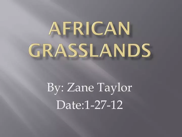 african grasslands