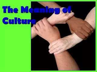 the meaning of culture