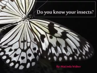 Do you know your insects ?