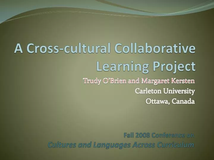 a cross cultural collaborative learning project