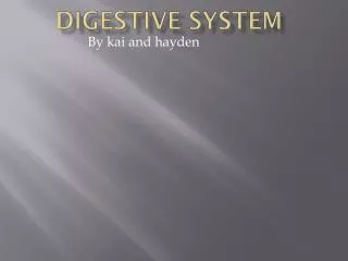 digestive system