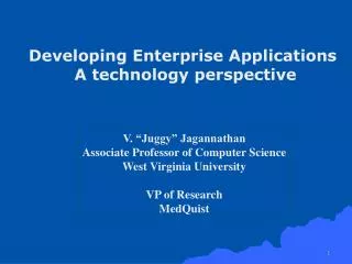 Developing Enterprise Applications A technology perspective