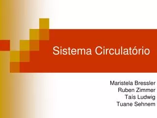 maristela bressler ruben zimmer ta s ludwig tuane sehnem