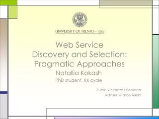 Web Service Discovery and Selection: Pragmatic Approaches
