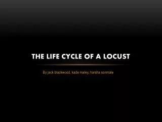 The life cycle of a locust